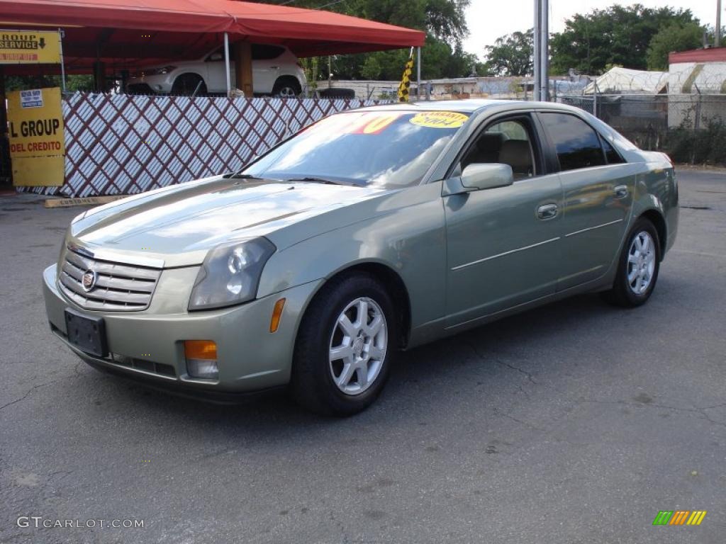 2004 CTS Sedan - Silver Green / Light Neutral photo #3