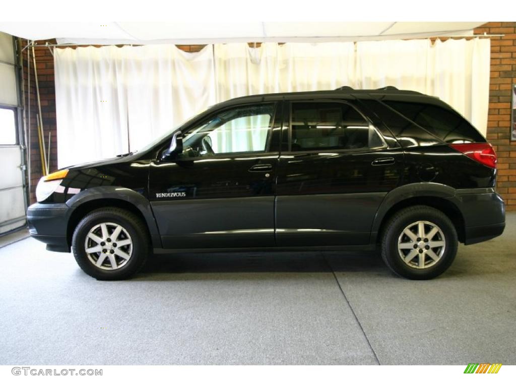 2002 Rendezvous CXL AWD - Black / Dark Gray photo #5