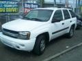 2005 Summit White Chevrolet TrailBlazer LS 4x4  photo #33