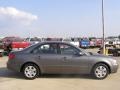Willow Gray - Sonata GLS Photo No. 6