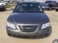 Willow Gray - Sonata GLS Photo No. 8