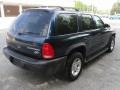 Patriot Blue Pearlcoat - Durango SXT Photo No. 4
