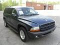 Patriot Blue Pearlcoat - Durango SXT Photo No. 5