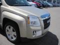 2010 Gold Mist Metallic GMC Terrain SLT AWD  photo #2