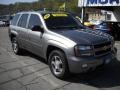 2008 Graystone Metallic Chevrolet TrailBlazer LT 4x4  photo #19