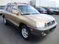 2004 Sandstone Hyundai Santa Fe GLS 4WD  photo #4