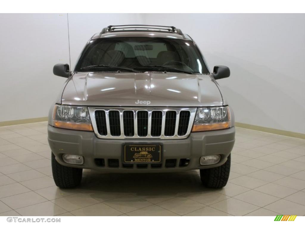 1999 Grand Cherokee Laredo 4x4 - Bright Platinum Metallic / Agate photo #2