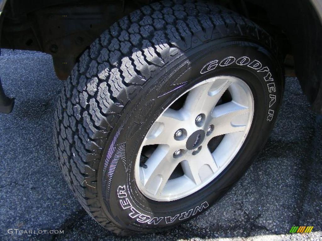 2002 F150 FX4 Regular Cab 4x4 - Silver Metallic / Dark Graphite photo #26