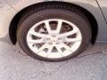 Dark Gray Metallic - Malibu LTZ Sedan Photo No. 8