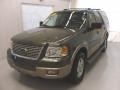 2003 Estate Green Metallic Ford Expedition Eddie Bauer  photo #1