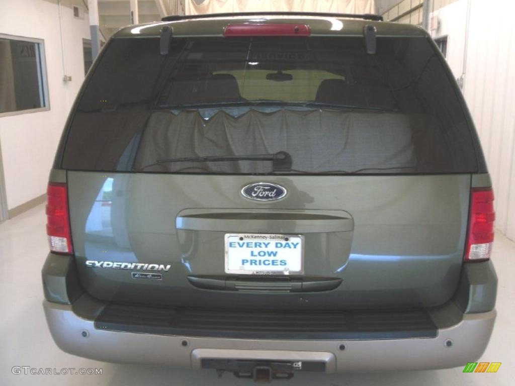 2003 Expedition Eddie Bauer - Estate Green Metallic / Medium Parchment photo #3