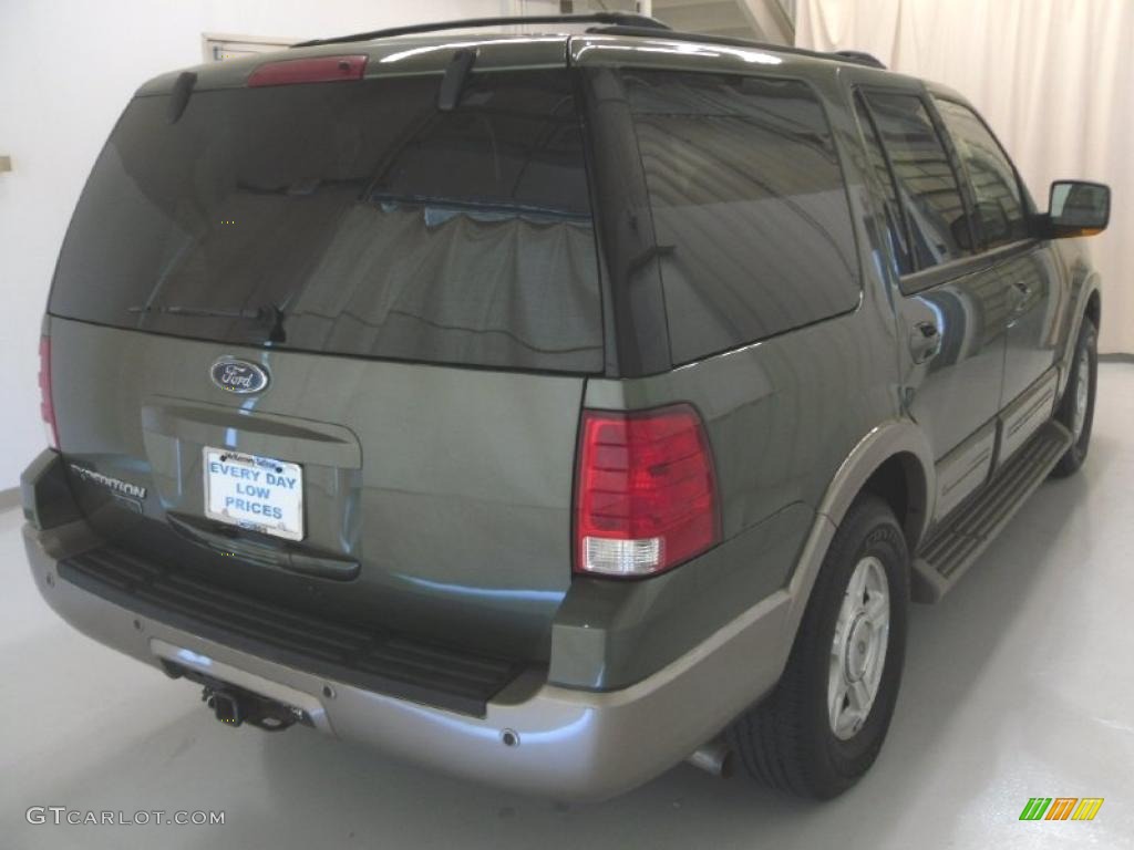 2003 Expedition Eddie Bauer - Estate Green Metallic / Medium Parchment photo #4