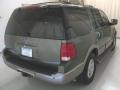 2003 Estate Green Metallic Ford Expedition Eddie Bauer  photo #4