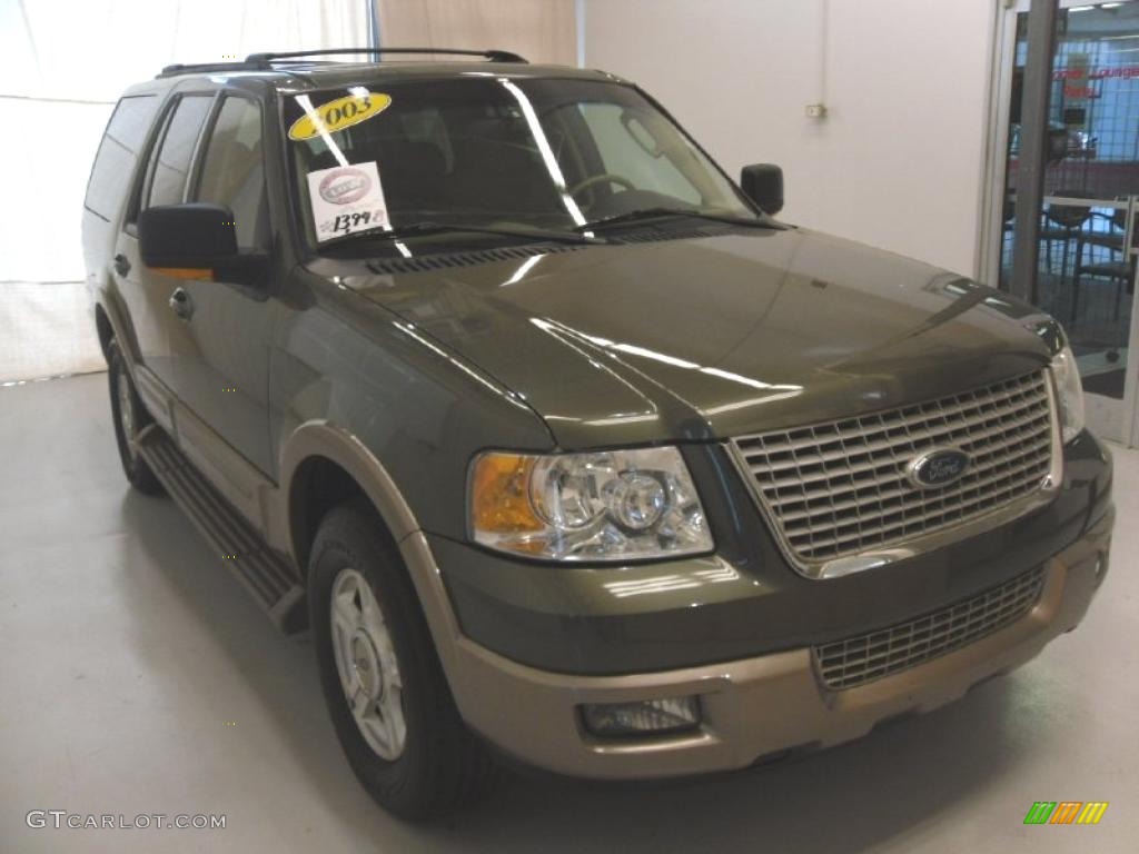 2003 Expedition Eddie Bauer - Estate Green Metallic / Medium Parchment photo #5