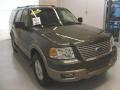 2003 Estate Green Metallic Ford Expedition Eddie Bauer  photo #5