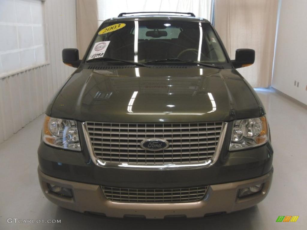 2003 Expedition Eddie Bauer - Estate Green Metallic / Medium Parchment photo #6