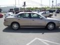 Light Bronzemist Metallic - LeSabre Custom Photo No. 7