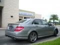 Palladium Silver Metallic - C 63 AMG Photo No. 6
