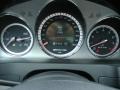 Palladium Silver Metallic - C 63 AMG Photo No. 22