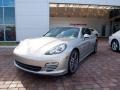 Platinum Silver Metallic - Panamera 4S Photo No. 9