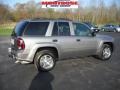 Graystone Metallic - TrailBlazer LS 4x4 Photo No. 2