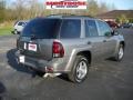 Graystone Metallic - TrailBlazer LS 4x4 Photo No. 3