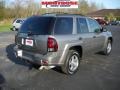 2007 Graystone Metallic Chevrolet TrailBlazer LS 4x4  photo #3