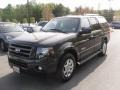 Carbon Metallic - Expedition Limited 4x4 Photo No. 1