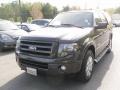 Carbon Metallic - Expedition Limited 4x4 Photo No. 6