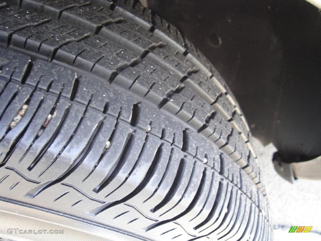 2004 Grand Marquis GS - Arizona Beige Metallic / Medium Parchment photo #10