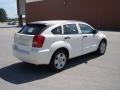 Stone White - Caliber SXT Photo No. 4