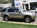 Driftwood Pearl - 4Runner Limited 4x4 Photo No. 7