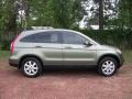 Borrego Beige Metallic - CR-V EX-L Photo No. 1