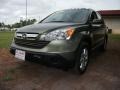 Borrego Beige Metallic - CR-V EX-L Photo No. 2