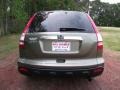 Borrego Beige Metallic - CR-V EX-L Photo No. 3