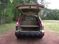 Borrego Beige Metallic - CR-V EX-L Photo No. 4