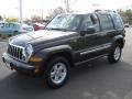 2005 Dark Khaki Pearl Jeep Liberty Limited 4x4  photo #5