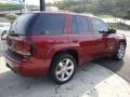 Red Jewel Tint Coat - TrailBlazer SS 4x4 Photo No. 4
