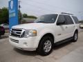 White Suede - Expedition XLT Photo No. 4