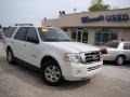 White Suede - Expedition XLT Photo No. 30