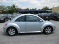 2007 Reflex Silver Volkswagen New Beetle 2.5 Coupe  photo #6
