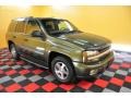 2002 Medium Sage Green Metallic Chevrolet TrailBlazer LT 4x4 #28802433