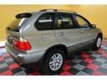 2004 Kalahari Beige Metallic BMW X5 3.0i  photo #6