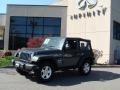Steel Blue Metallic - Wrangler X 4x4 Photo No. 3