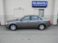 Willow Gray - Sonata GLS Photo No. 6