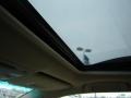 2008 Bamboo Pearl Lexus RX 350  photo #19