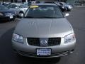 Bronze Shimmer Metallic - Sentra 1.8 S Photo No. 2