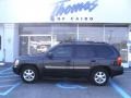 2006 Carbon Metallic GMC Envoy SLT  photo #1