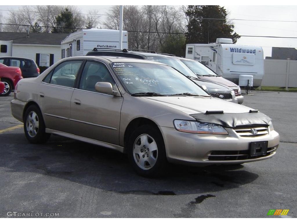 2002 Accord EX V6 Sedan - Naples Gold Metallic / Ivory photo #5