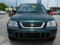 Clover Green Pearl - CR-V SE 4WD Photo No. 8